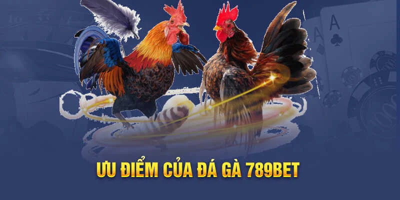 Đá Gà Casino 789bet – Sảnh chơi đỉnh cao cho tín đồ chọi kê