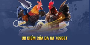 Đá Gà Casino 789bet – Sảnh chơi đỉnh cao cho tín đồ chọi kê